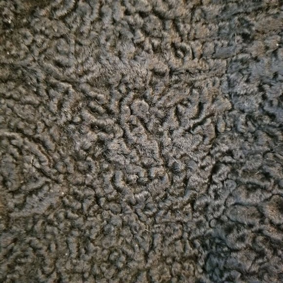 Furs by Truesdell Berlin Wisconsin Black Cape Vintage Formal S M L Persian Lamb - Picture 6 of 8